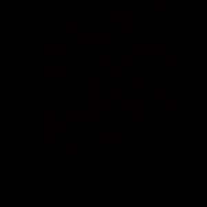 Meet your Posher, Ava